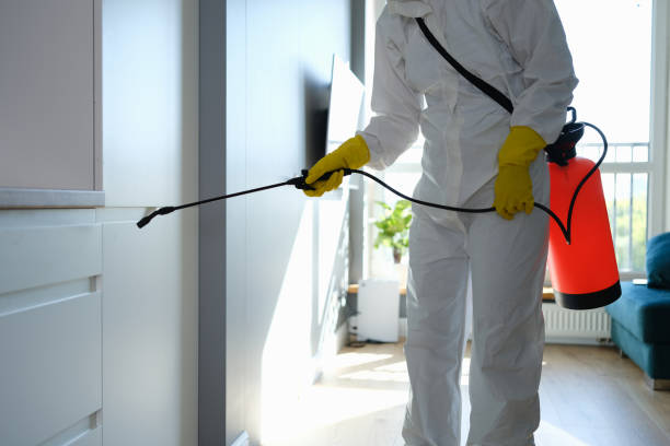 Mold Removal Process in Topeka, IN